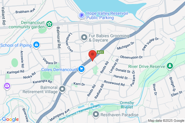 Dernancourt Veterinary Clinic