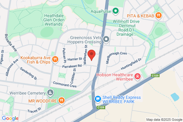 Portuguese Language Services