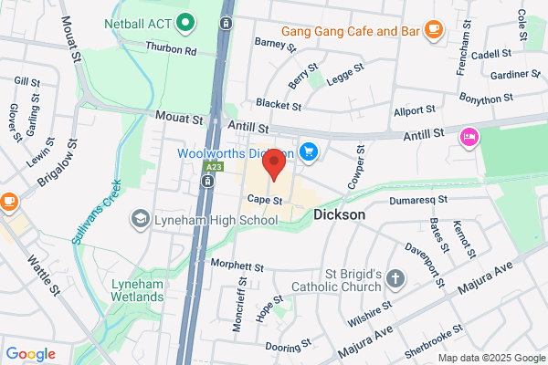 Dickson Backpackers