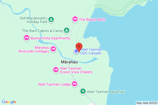 Tasman Bush Tours