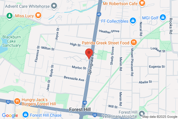 Forest Hill Village & Lodge