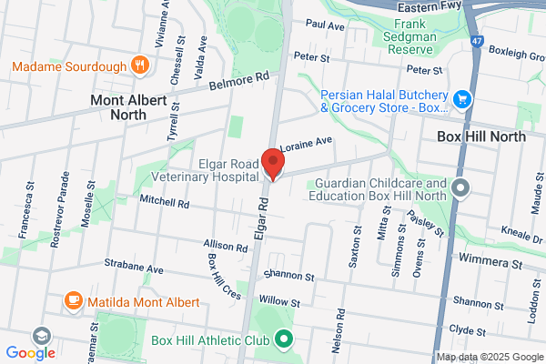Elgar Road Veterinary Hospital