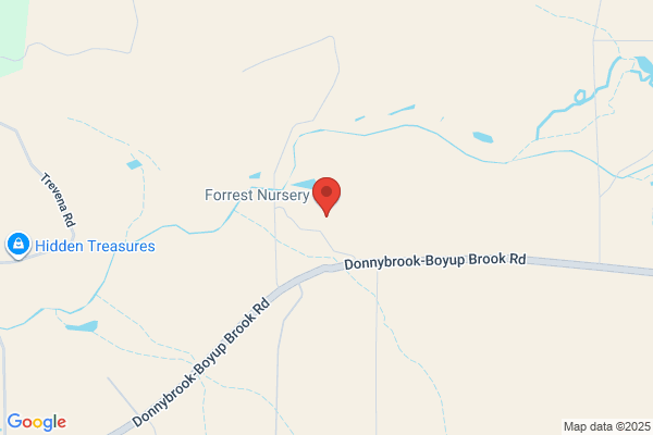 Forrest Nursery