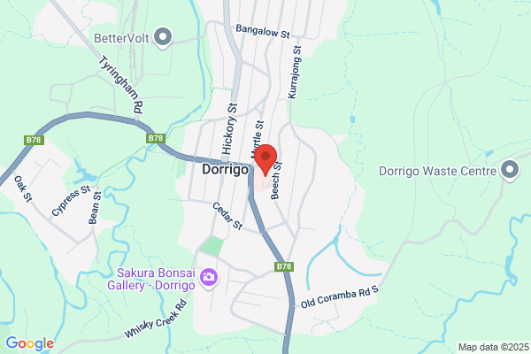 Dorrigo District