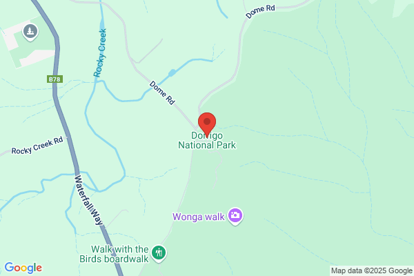 Dorrigo National Park