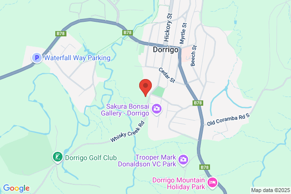 Dorrigo Public School