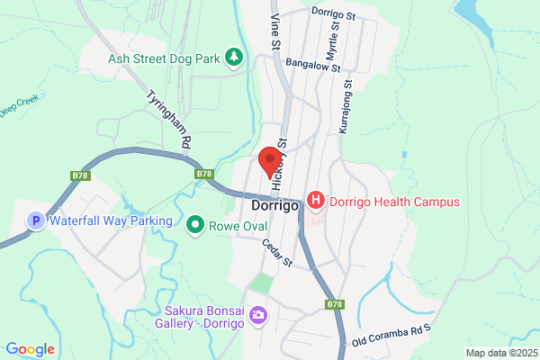 Dorrigo Tourist Association (Inc)