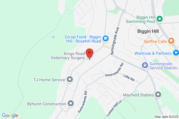 Kings Road Veterinary Surgery