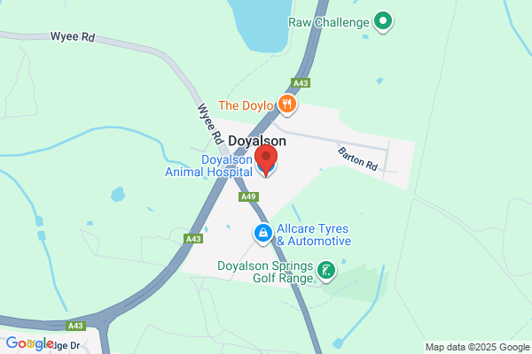 Doyalson Animal Hospital