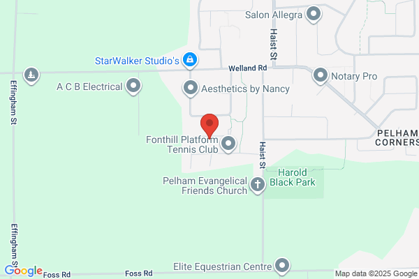 Paws 4 A Moment Photography