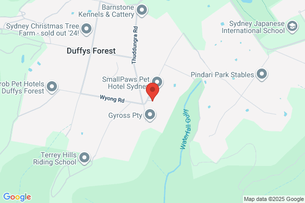 Duffys Forest Boarding Kennels