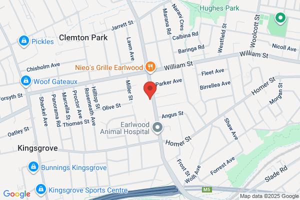 Clemton Park Public School