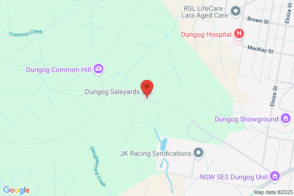 Dungog Artificial Stock Breeding Service
