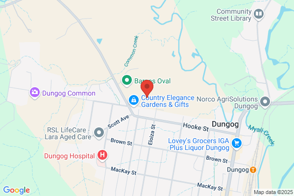 Dungog High School