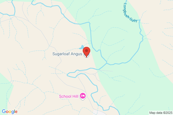 Forres Angus Stud