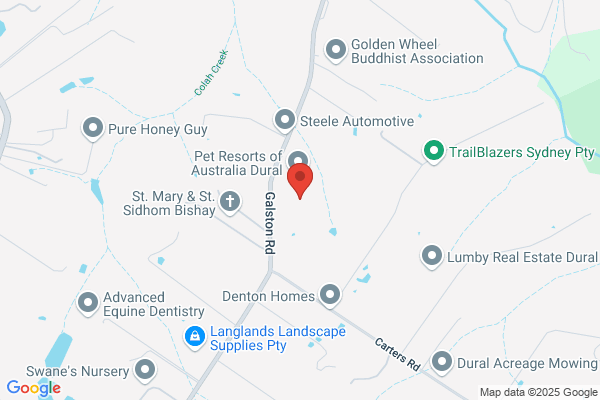 Acacia Grove Canine Lodge and Cattery