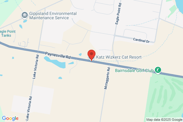 Burmeze Triangle Cat Havens The