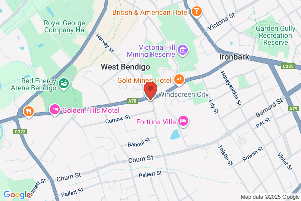 Bendigo Gas Struts