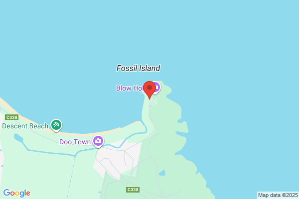 Eaglehawk Cruise & Travel