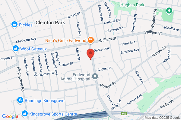 Clemton Park Public School