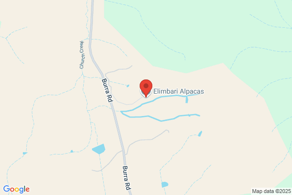 Bimbimbie Alpacas
