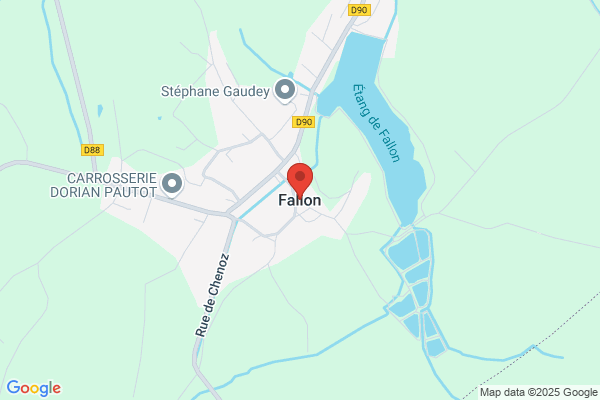 Fallon G D