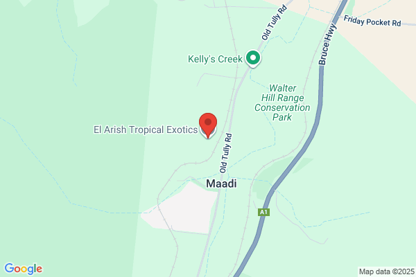 El Arish Tropical Exotics