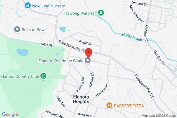 Elanora International Deli & Mfc