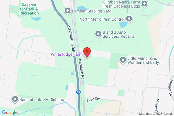 White Ridge Farm
