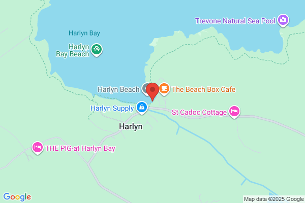 Harpo's Surfing School
