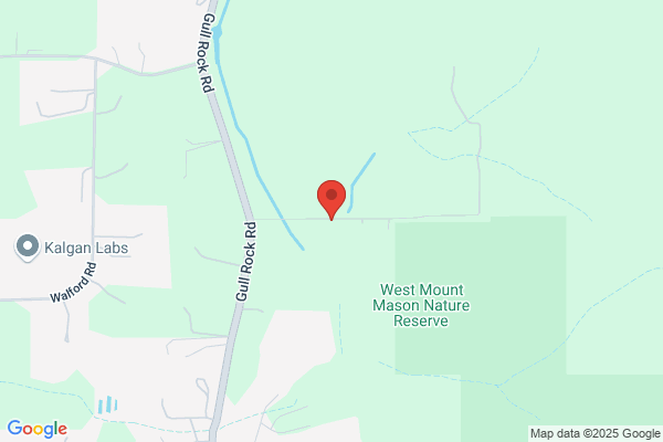 AAA Kalgan Lawn Turf