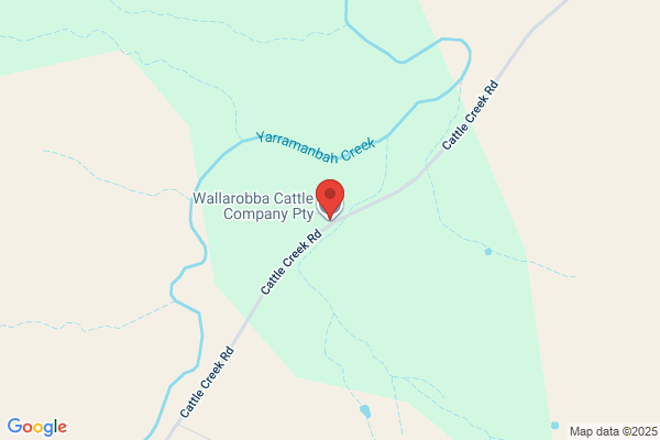 Branxton Cattle Co Pty Ltd