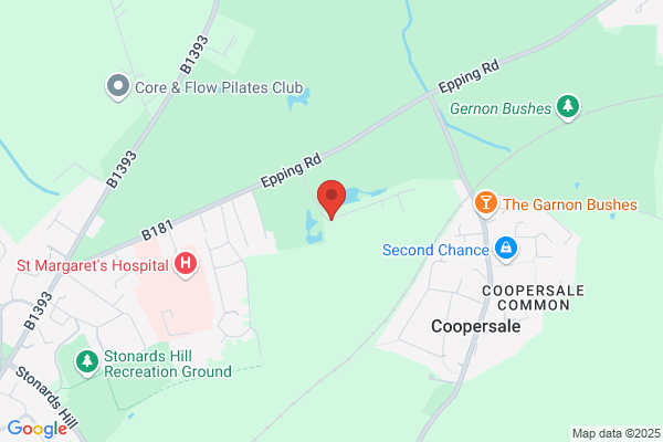 Epping Timber