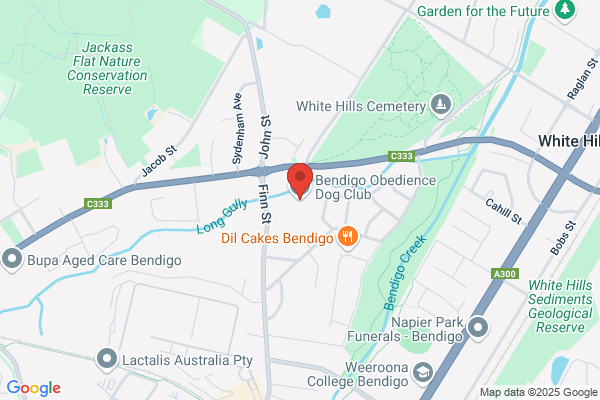 Bendigo Obedience Dog Club