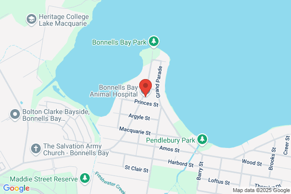 Bonnells Bay Animal Hospital
