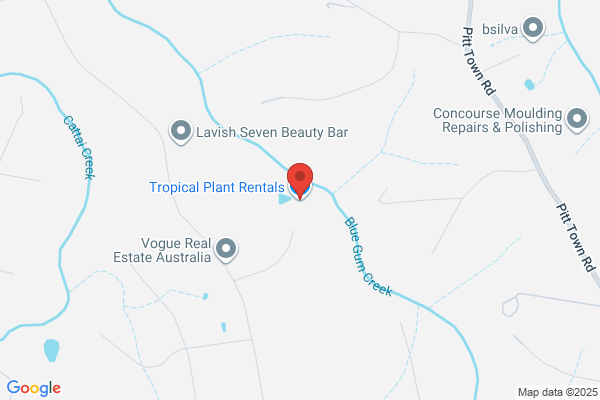 Tropical Plant Rentals