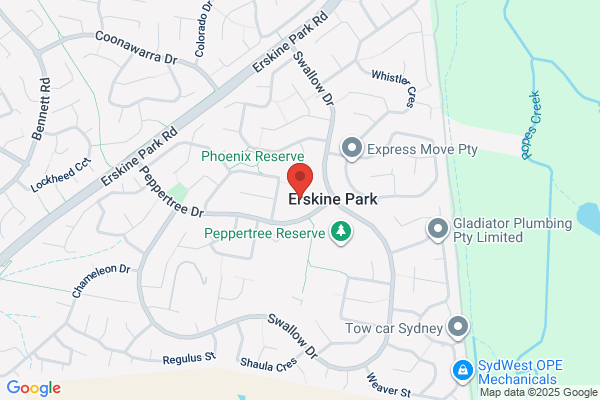 Evergreen Chines Restaurant