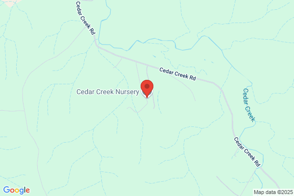 Cedar Creek Nursery