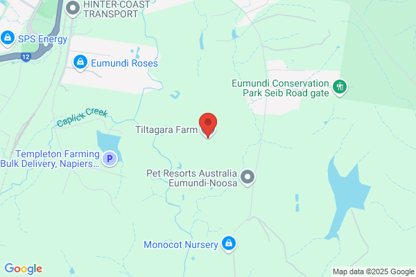 Eumundi Strawberry Farm