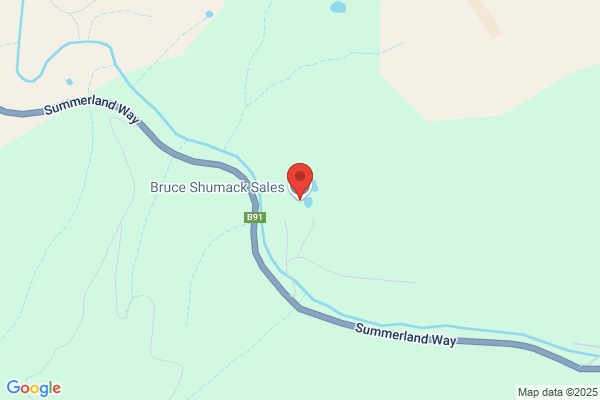 Bruce Shumack Sales