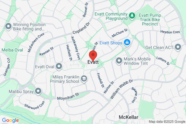 Dario's Carpet Cleaning