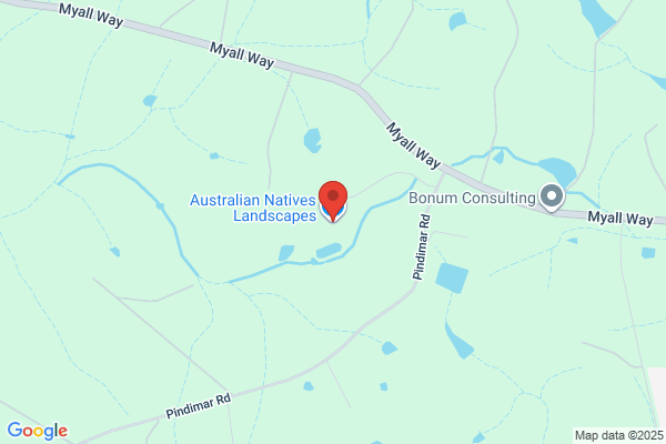 Australian Native Lawns