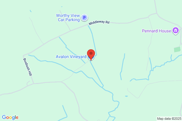Avalon Vineyard