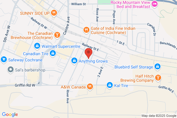 Bell & Fenton Automotive Mechanical Repairs