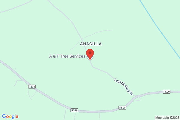 A & A Aachen No. 1 Tree Service