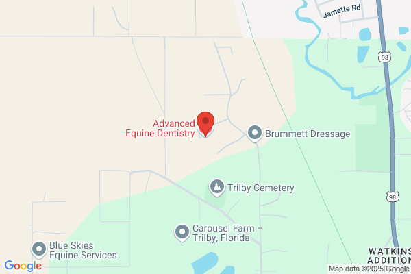 Advanced Equine Dentistry