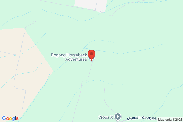 Bogong Horseback Adventures