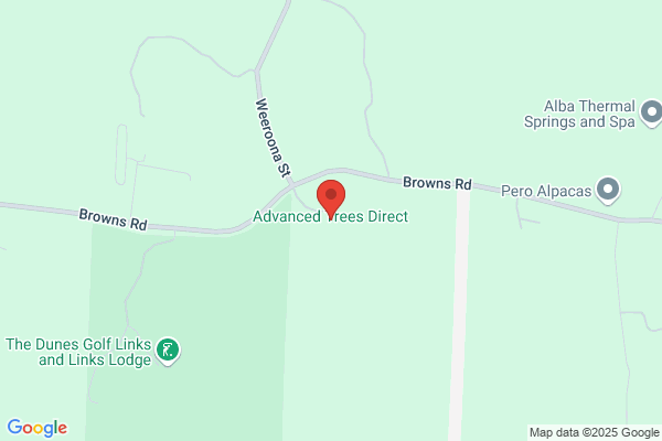 Advanced Australian Trees
