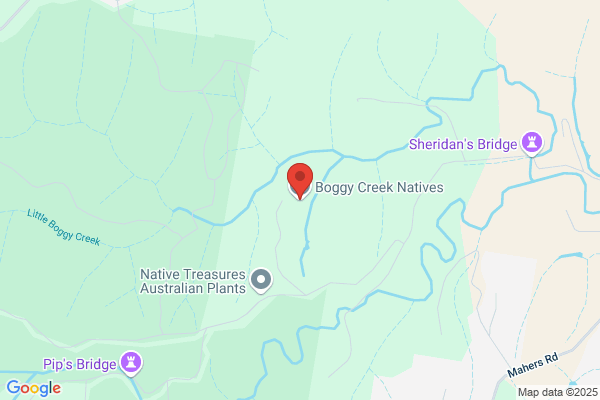 Boggy Creek Natives