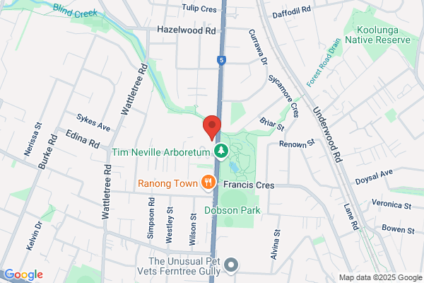Hankin Automotive